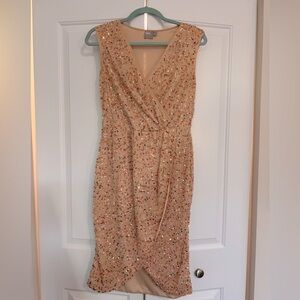 Blush sequenced midi dress